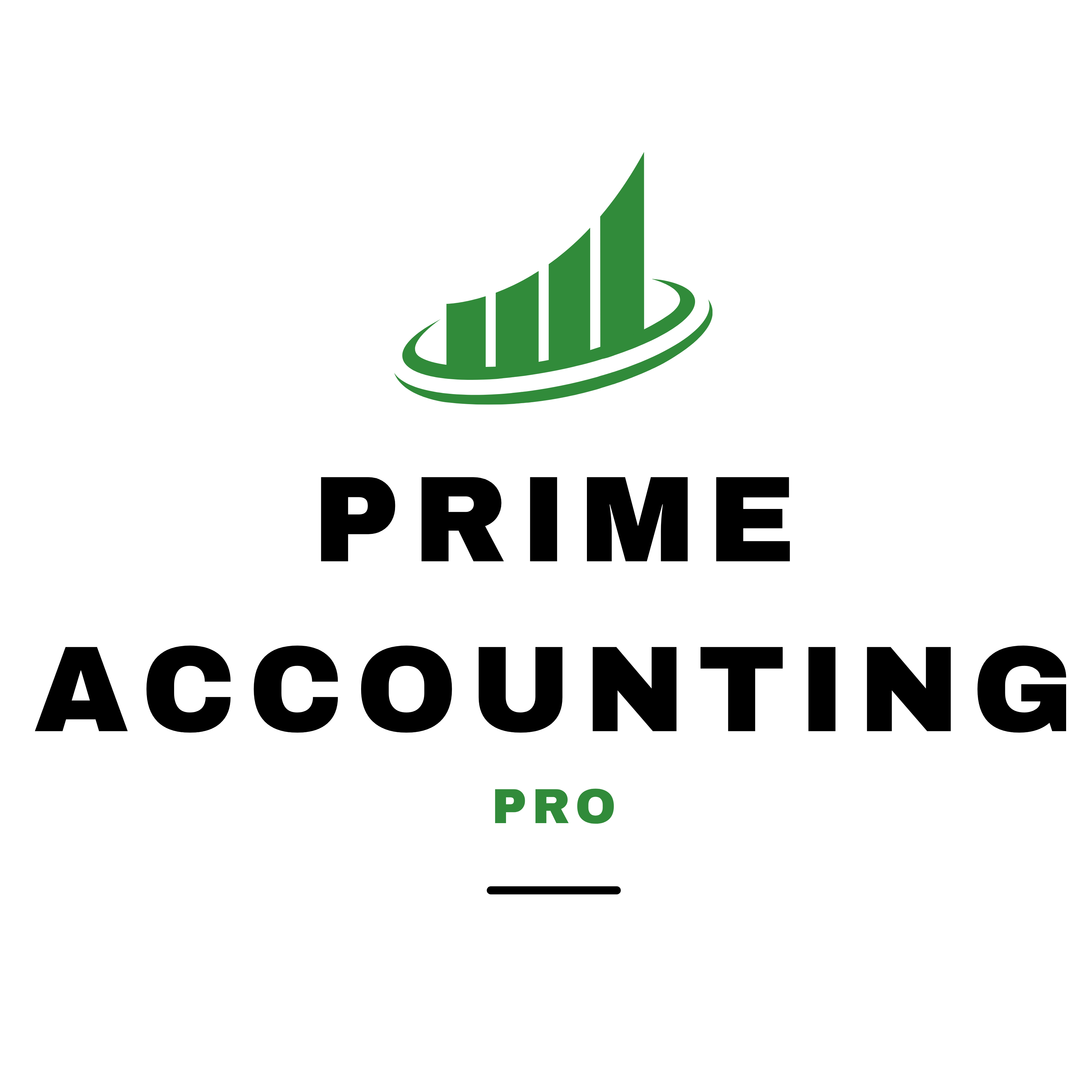 Prime Accounting Pro Logo